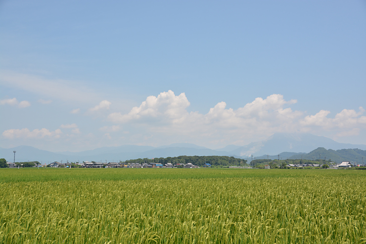 田園