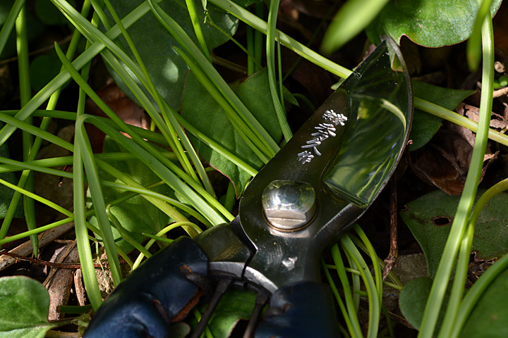 外山刃物　秀久