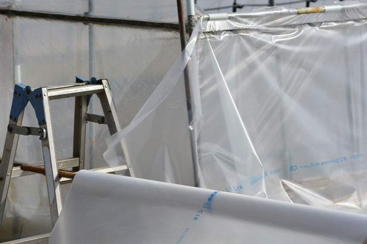 ビニールハウス