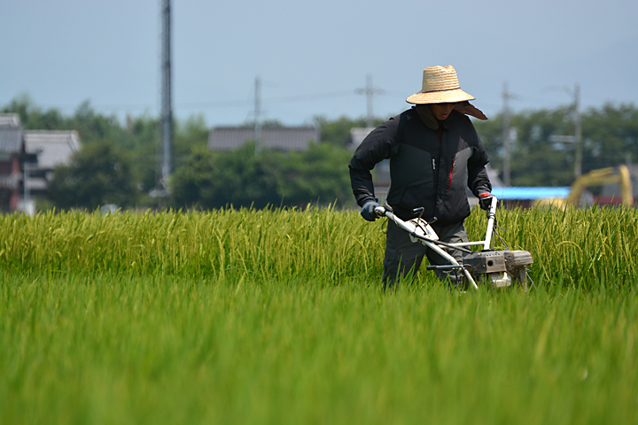 ウイングモアー