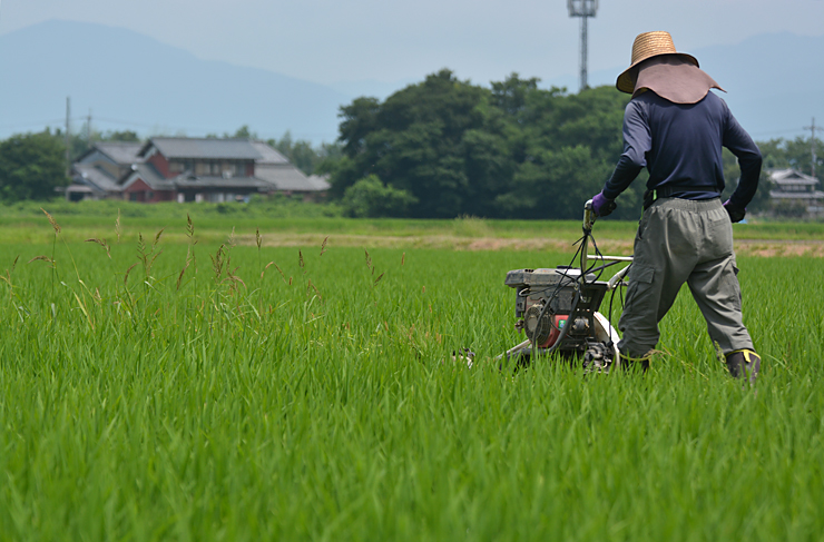 ウイングモアー