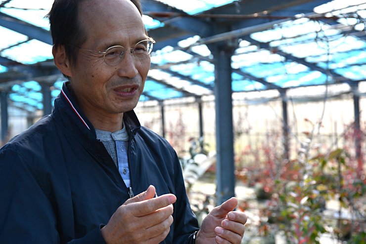 ブルーベリー園