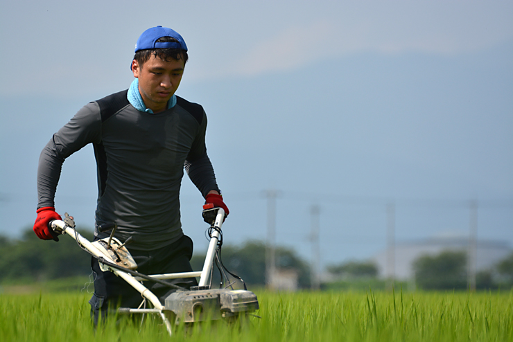 ウイングモアー