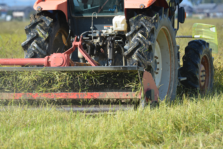フレールモアー