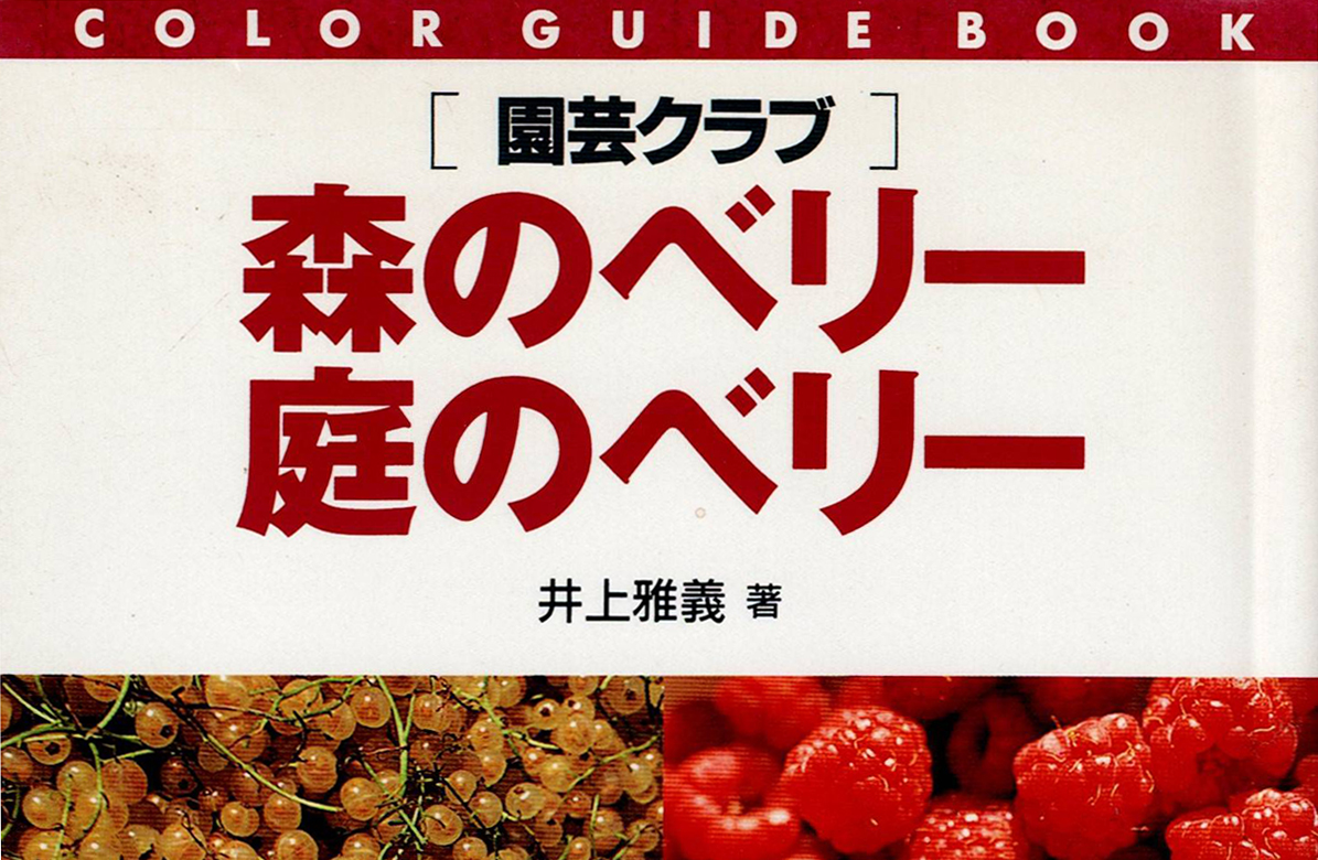 森のベリー庭のベリー