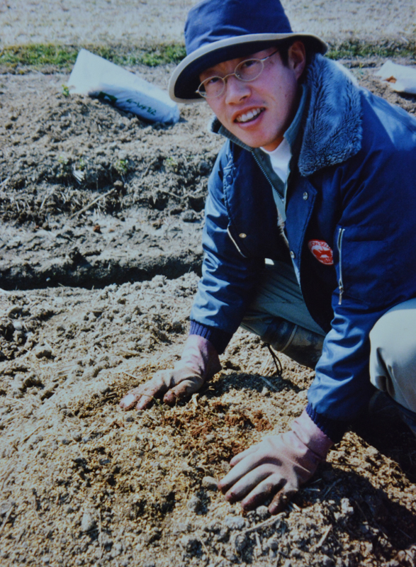 ブルーベリー定植