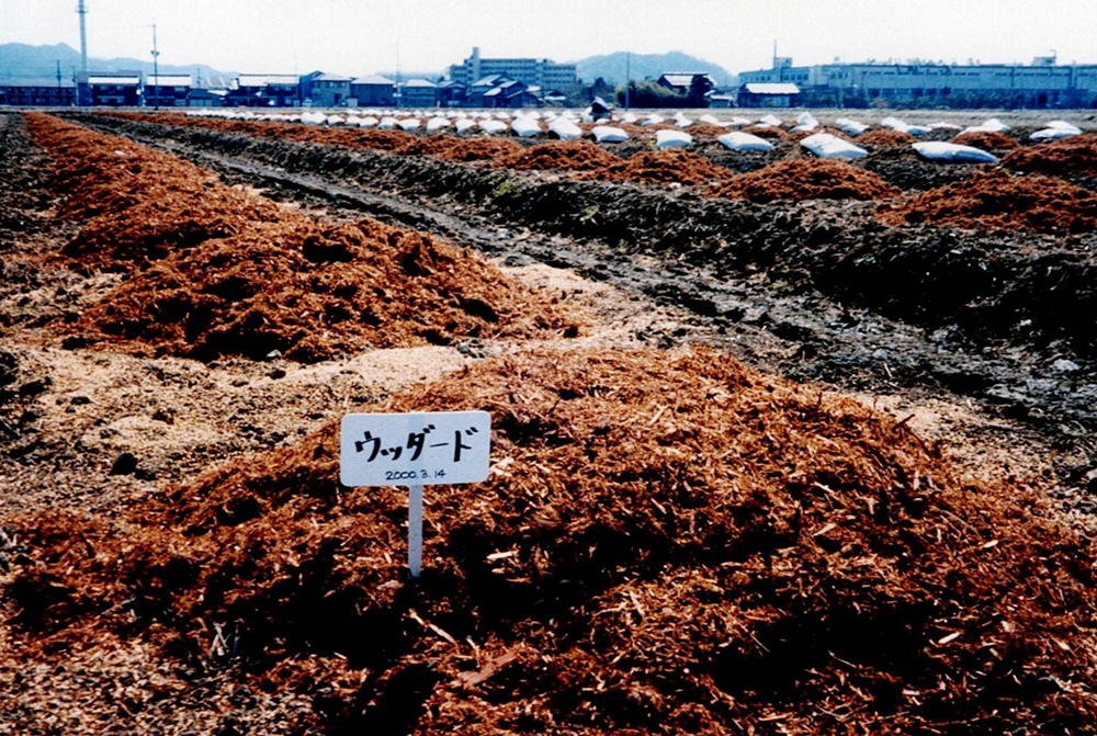 ブルーベリー園