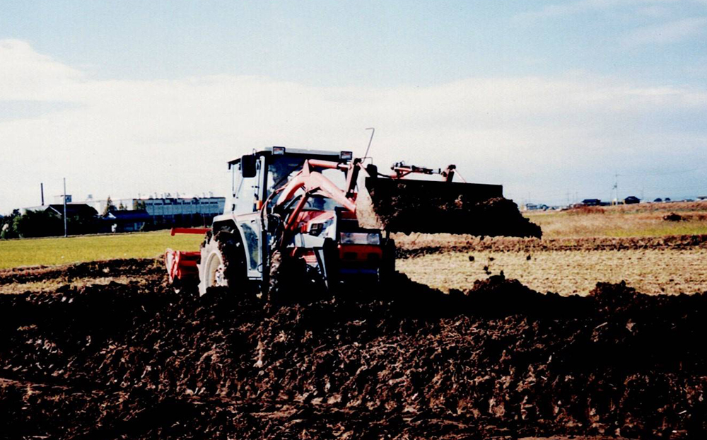 ブルーベリー園造成