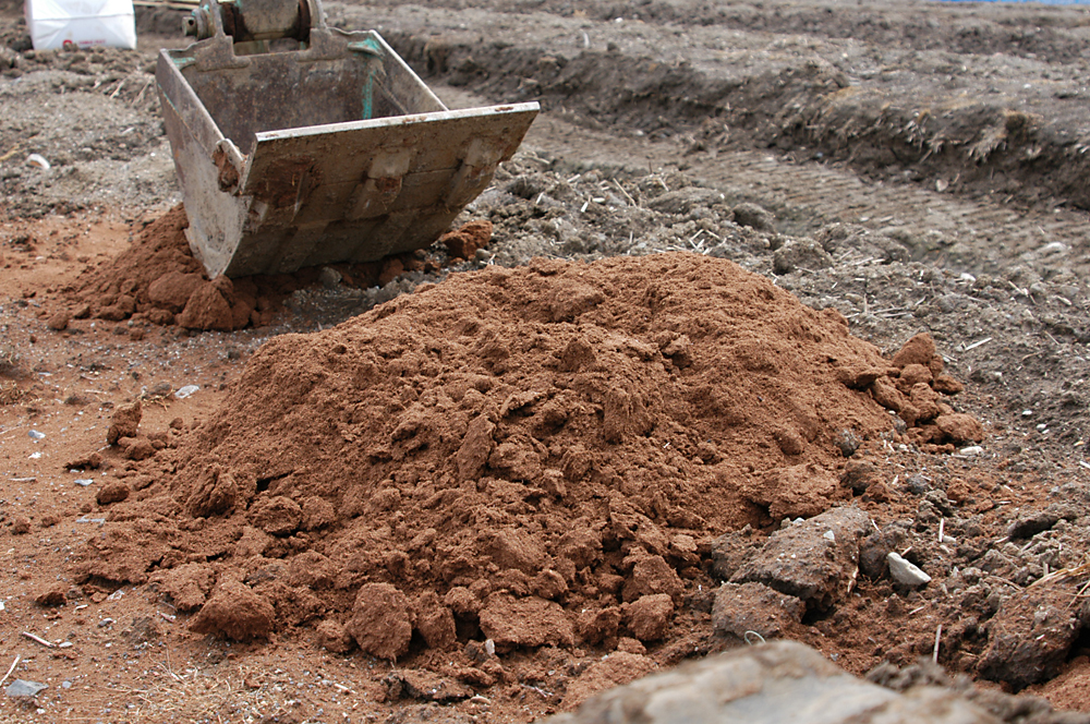 ブルーベリー土壌改良