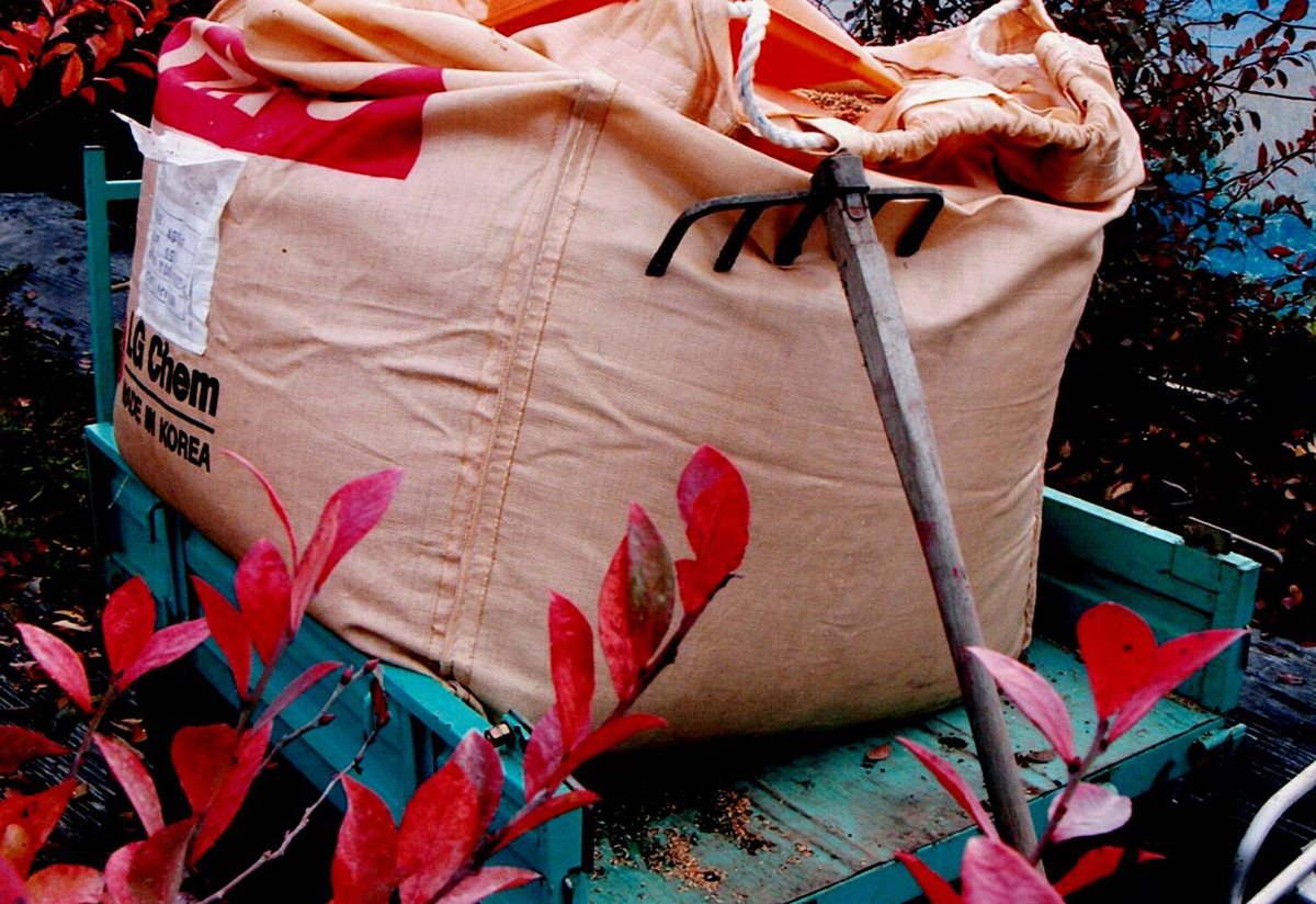 ブルーベリーの土