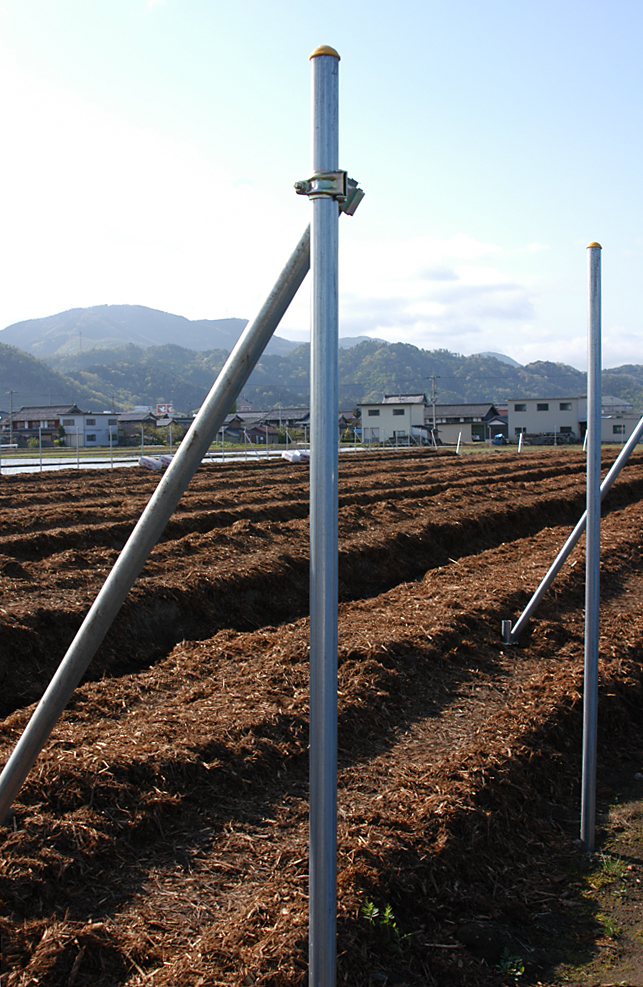 ブルーベリー園　造園