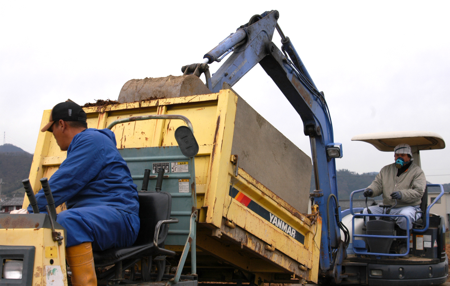 ブルーベリー園の造成