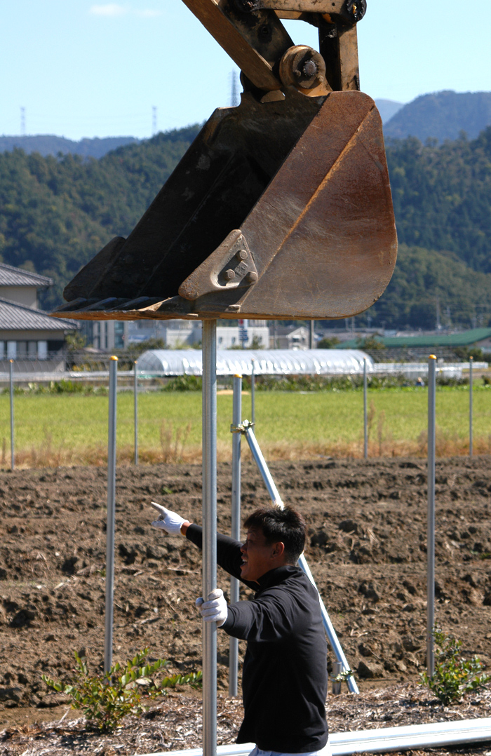 ブルーベリー畑 吾一農園