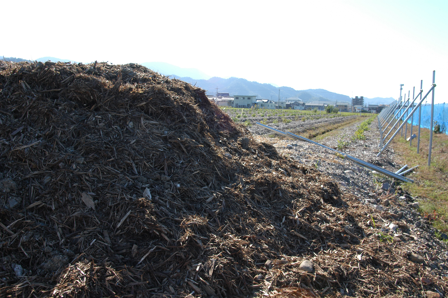 有機物 ブルーベリー栽培