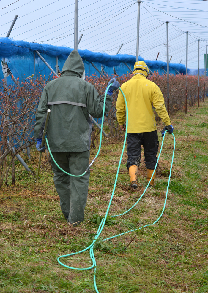 ブルーベリー　防除機