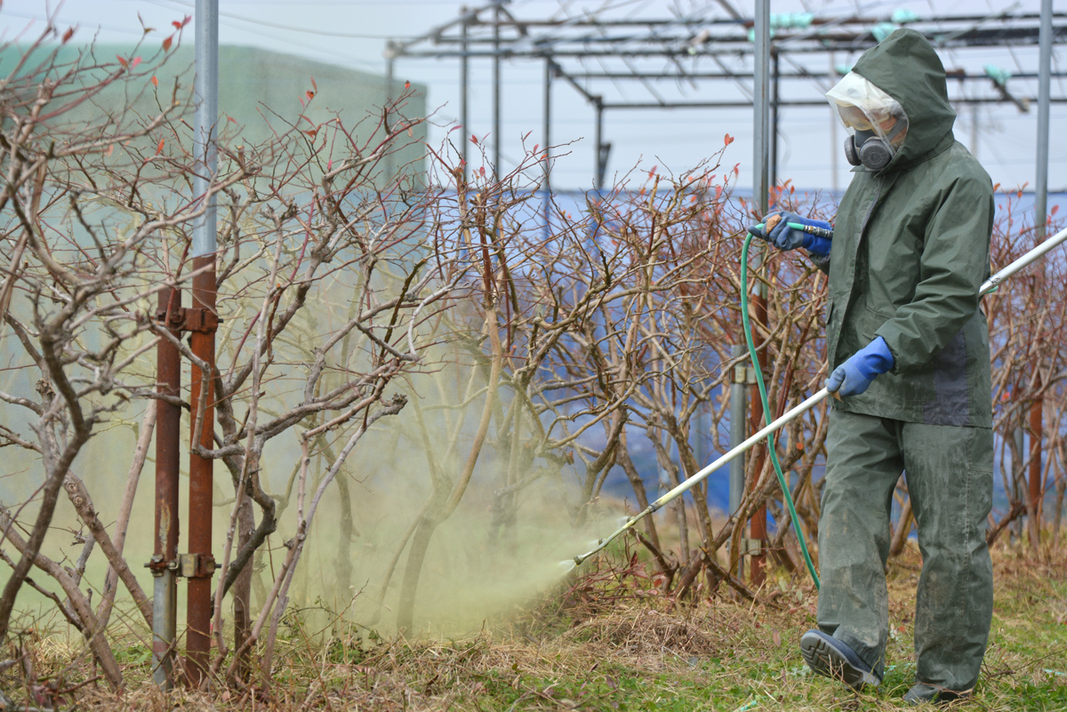 ブルーベリー防除方法