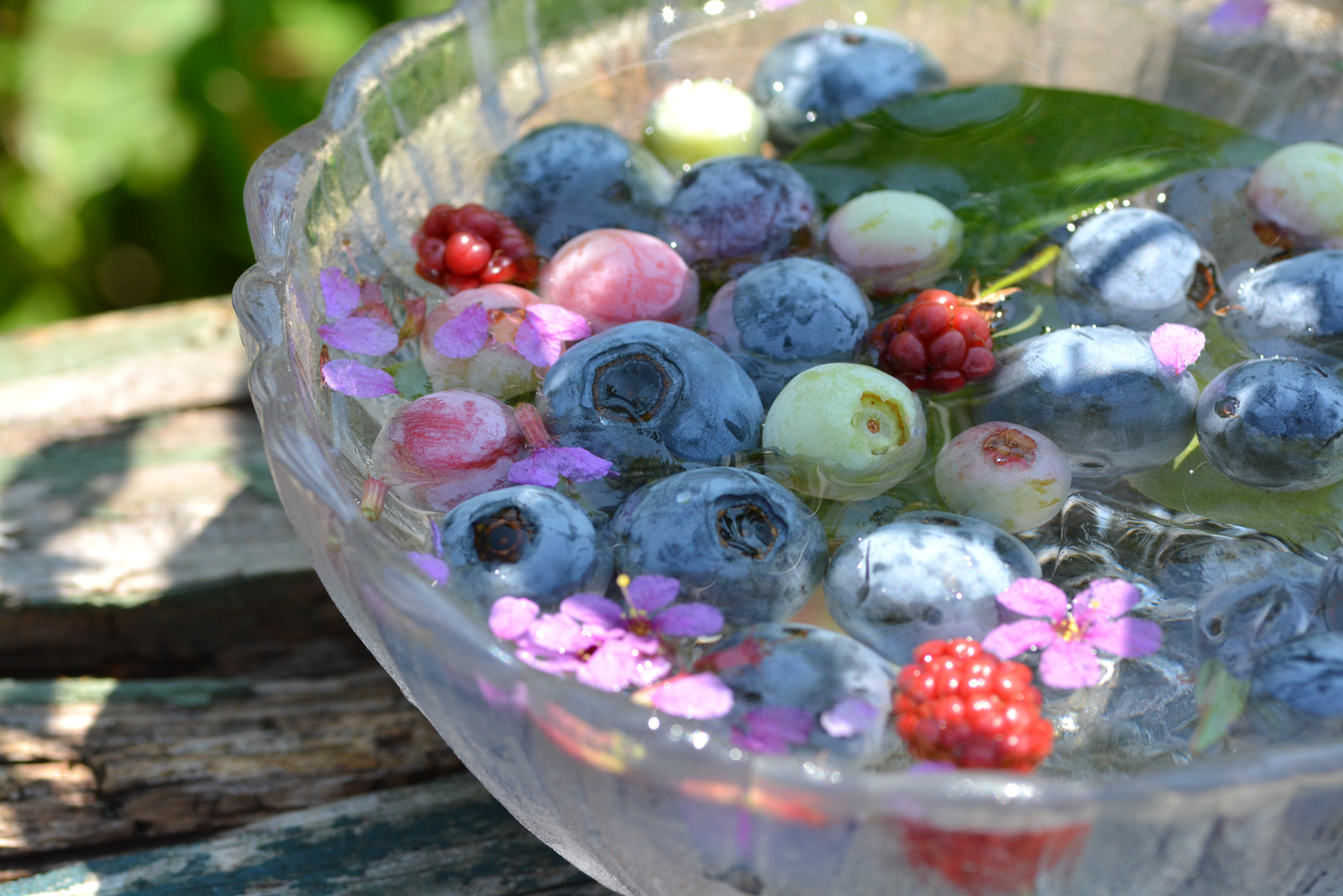 週末農家ブルーベリー