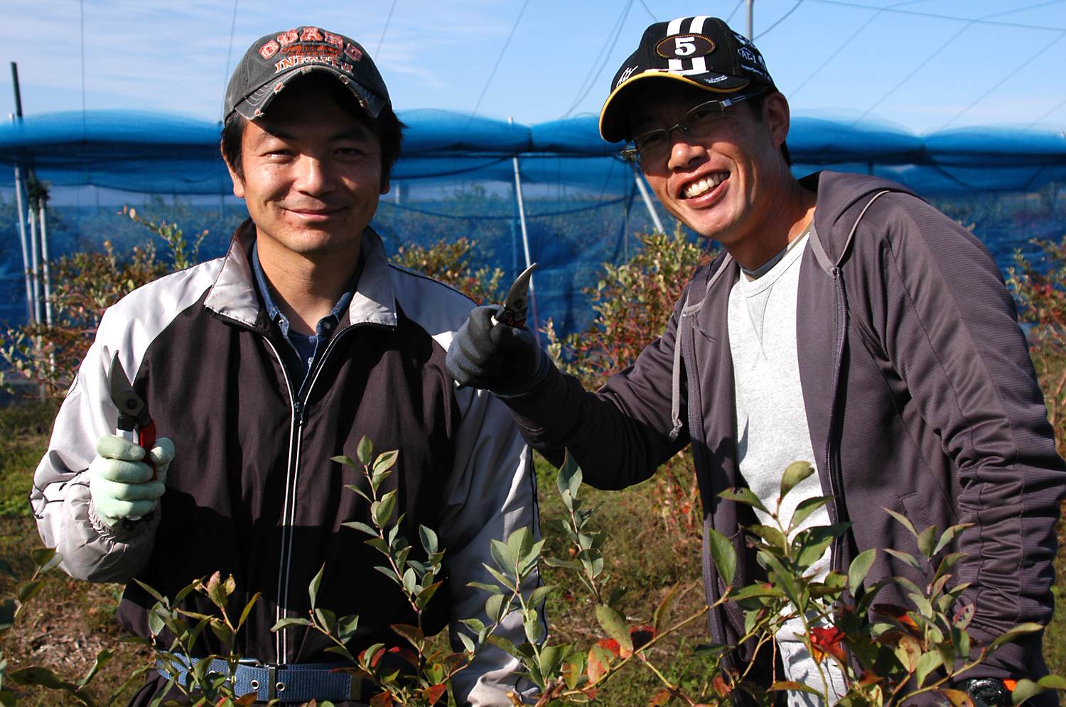 ブルーベリー栽培学校