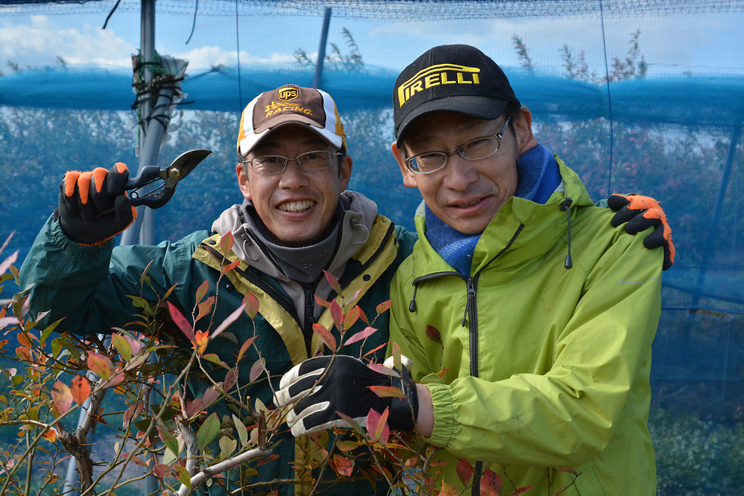 ブルーベリー栽培