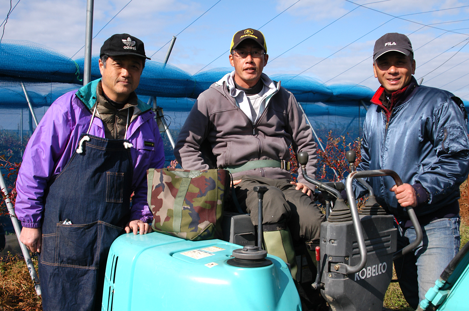 ブルーベリー栽培