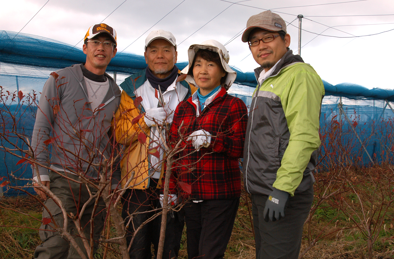 ブルーベリー栽培