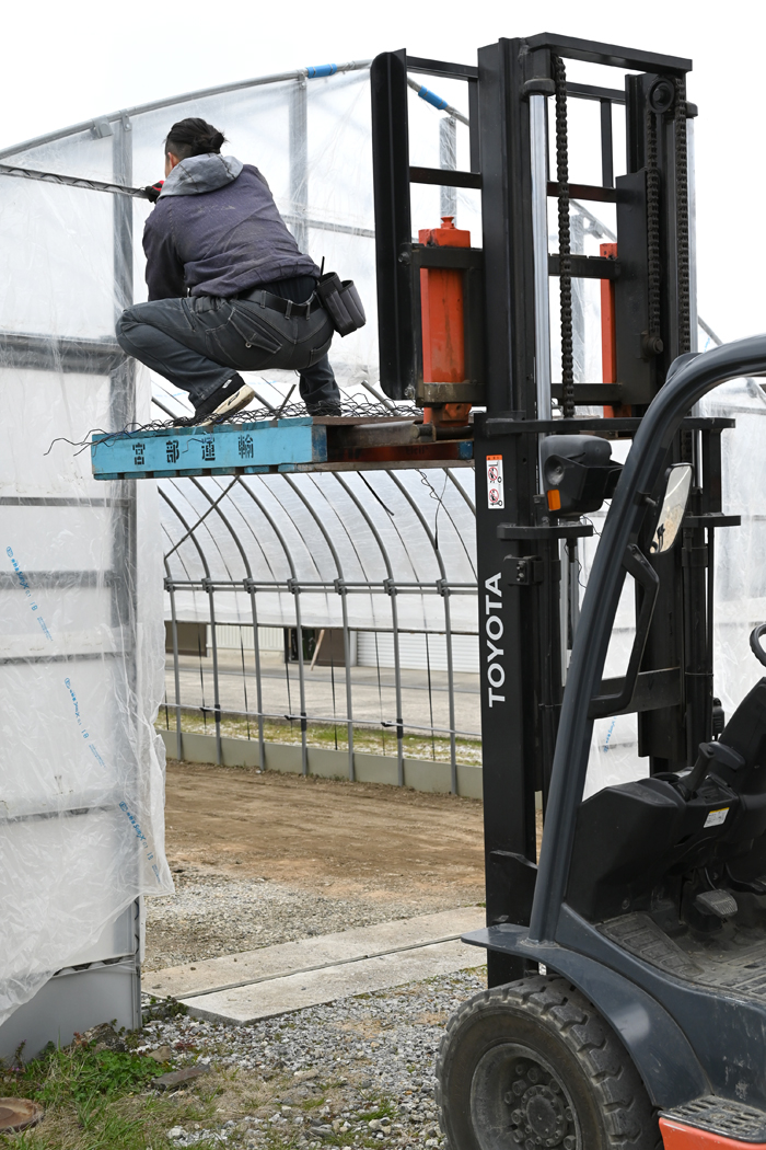 育苗ハウス