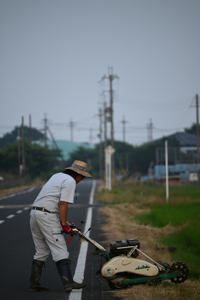 ウイングモアー