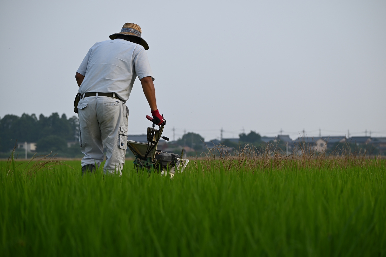 ウイングモアー