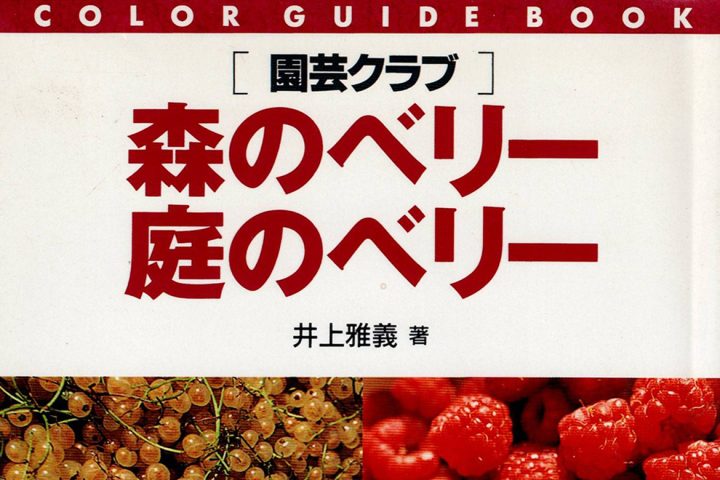 森のベリー庭のベリー