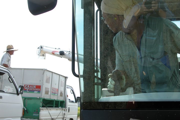 稲刈風景