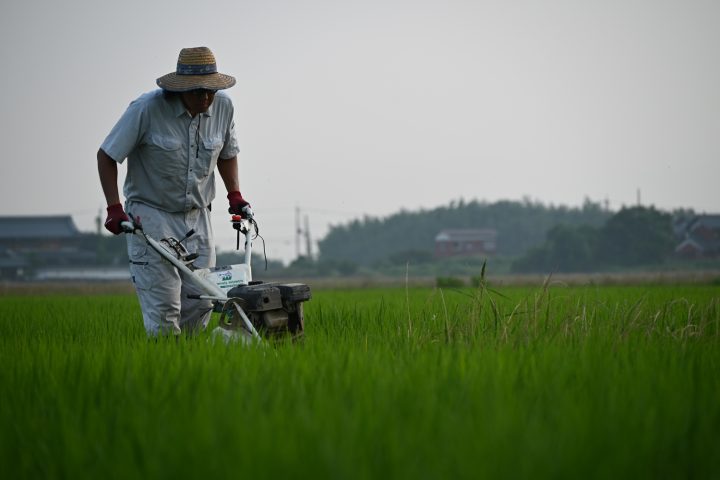 畦草ウイングモアー